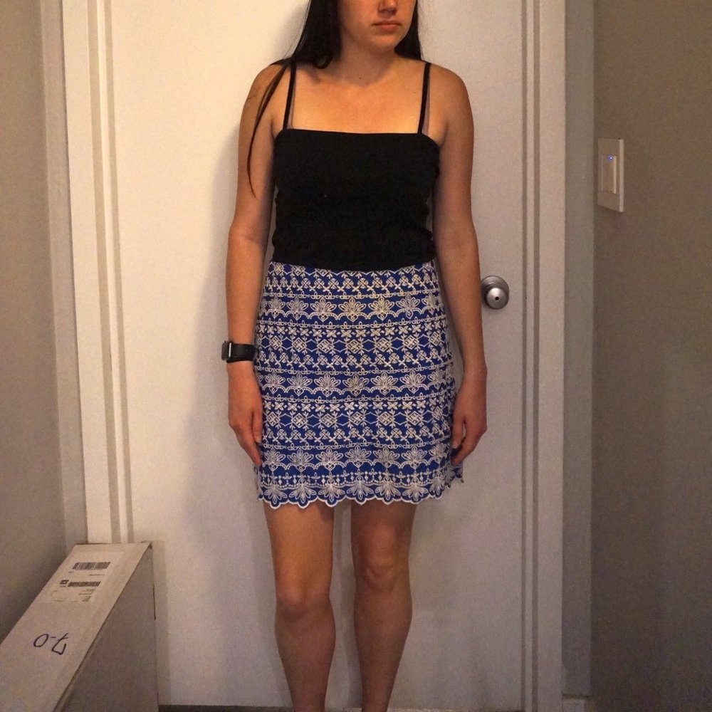 Loft Blue and White Embroidered Mini Skirt